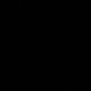 Meet your Posher, Mackenzie